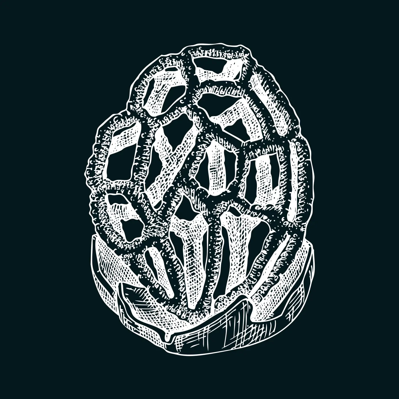 Red cage mushroom sketch. Weird fungus illustration in vintage style. Hand-drawn forest plant. Latticed stinkhorn - exotic mushroom drawing on chalkboard Illustration